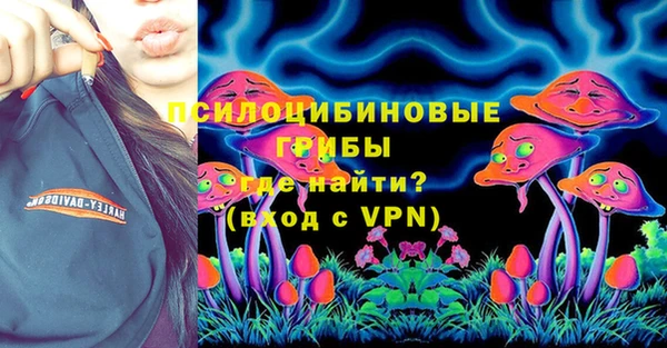 индика Новодвинск
