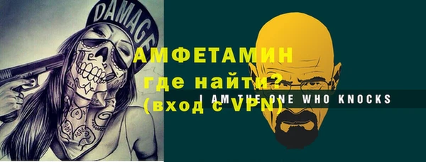 индика Новодвинск