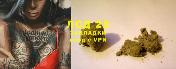 дживик Новозыбков