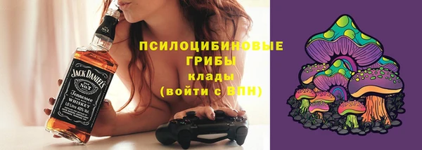 дживик Новозыбков