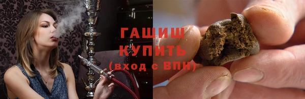 индика Новодвинск