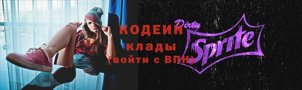 дживик Новозыбков