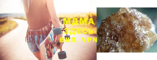 индика Новодвинск