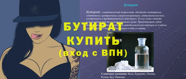 индика Новодвинск