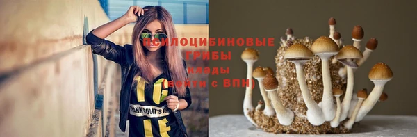 MESCALINE Новокубанск