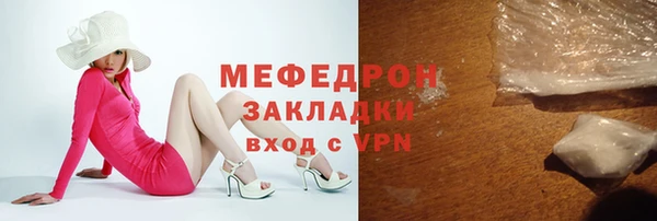 индика Новодвинск