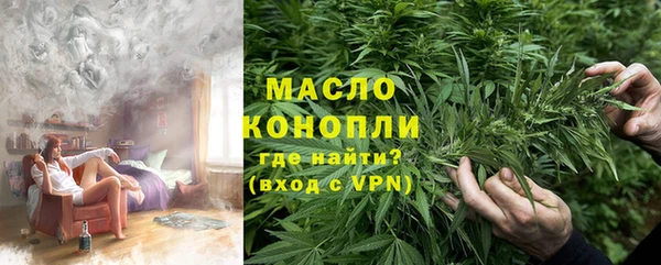 индика Новодвинск