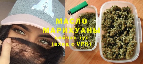 индика Новодвинск