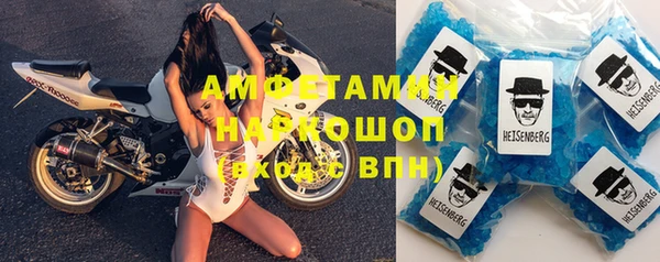 индика Новодвинск