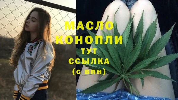 индика Новодвинск