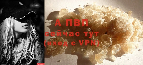 индика Новодвинск