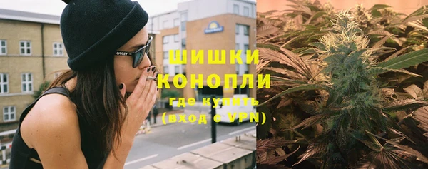 дживик Новозыбков