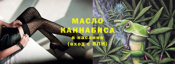 индика Новодвинск