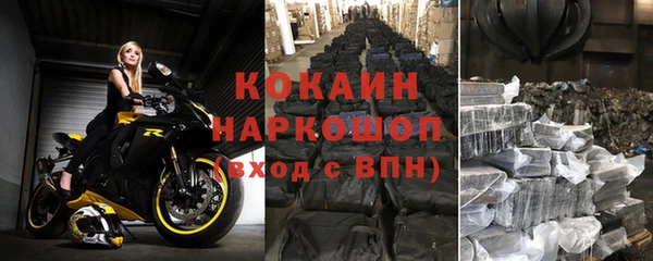 индика Новодвинск