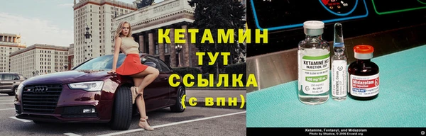 индика Новодвинск