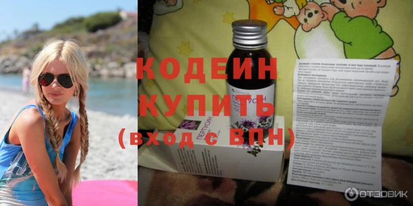 индика Новодвинск