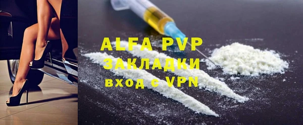 индика Новодвинск
