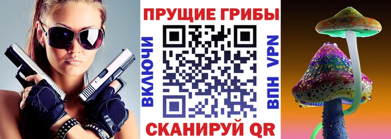 Галлюциногенные грибы MAGIC MUSHROOMS  магазин    Курильск 